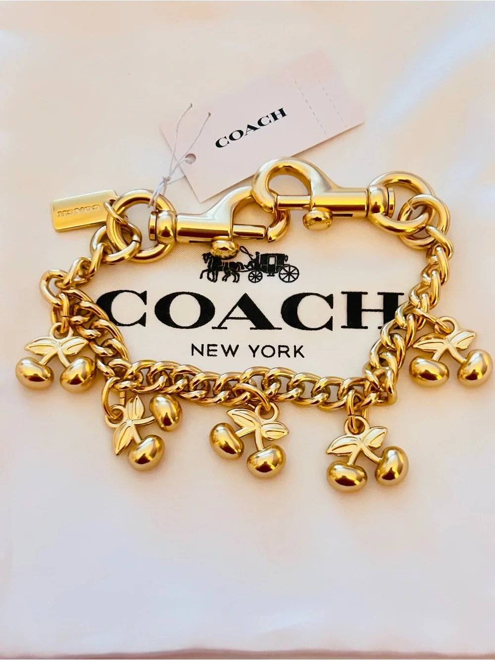Coach Cherries Swag Bag Charm